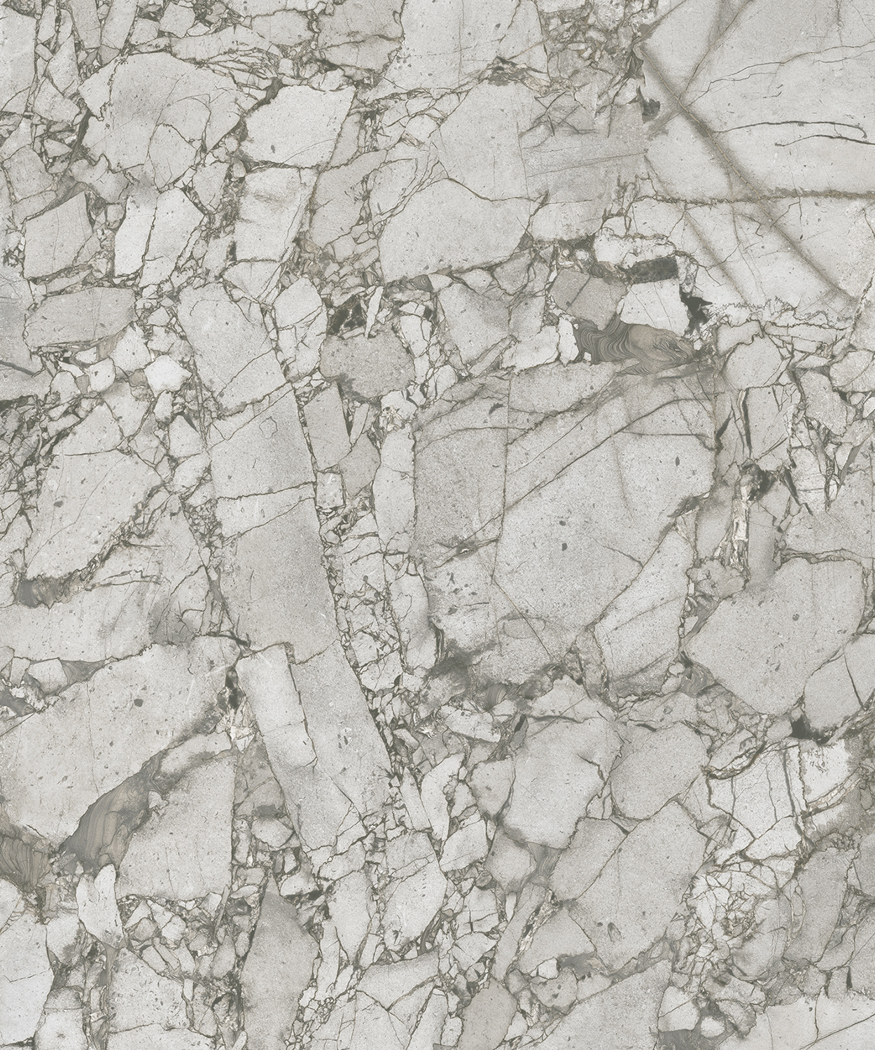 AP75541_IMPERIAL_FOSSIL_AA