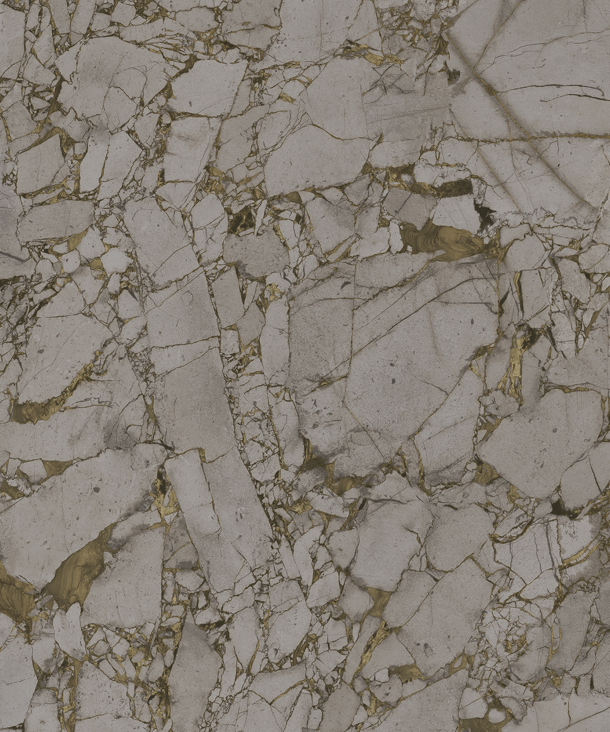 AP75541_IMPERIAL_FOSSIL_BB