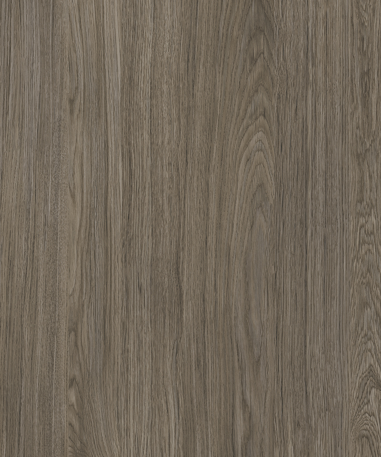 AP77003_VATTED_OAK_CC