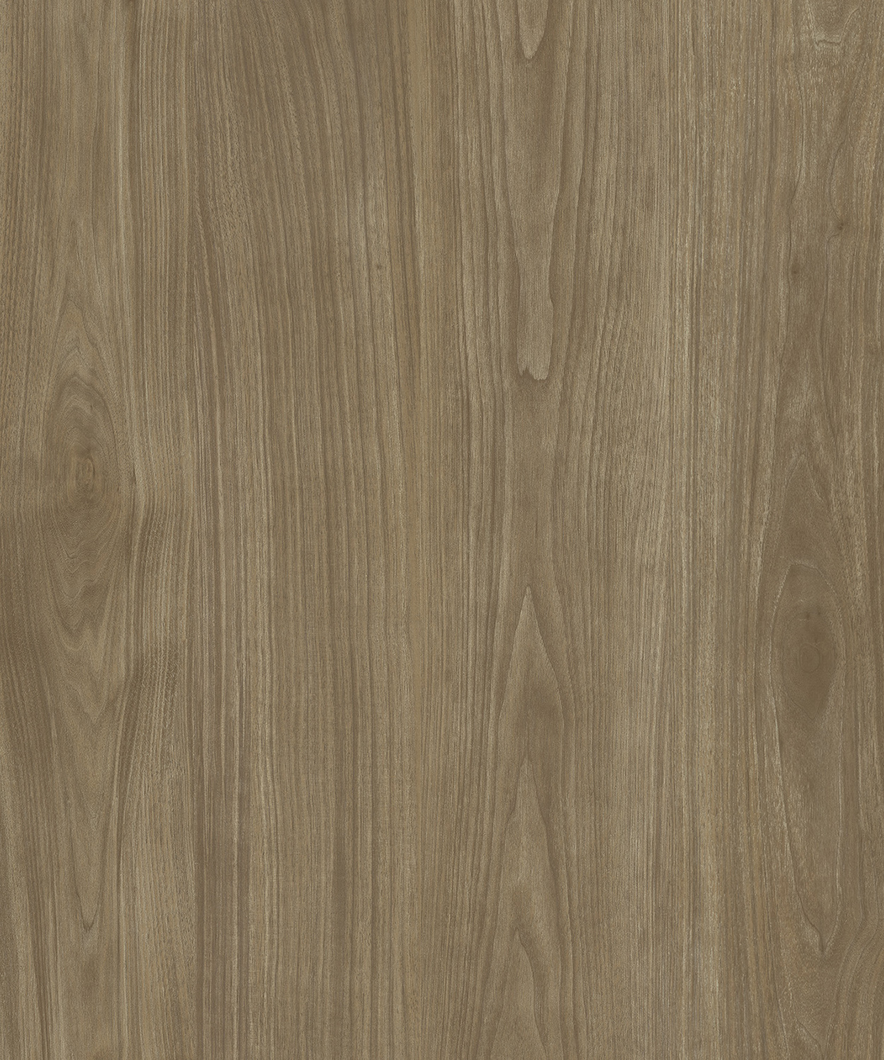 AP77007_SLUMBER_WALNUT_AA