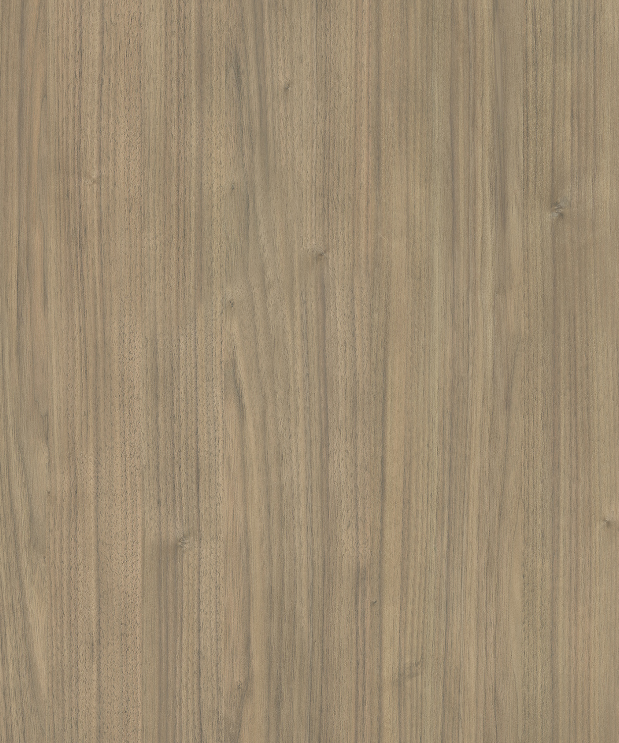 AP77011_JUPITER_WALNUT_AA