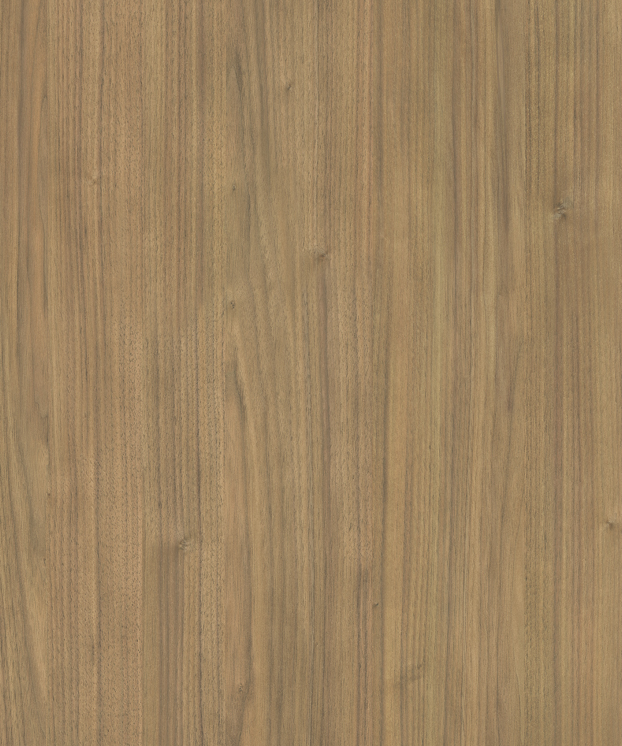 AP77011_JUPITER_WALNUT_BB