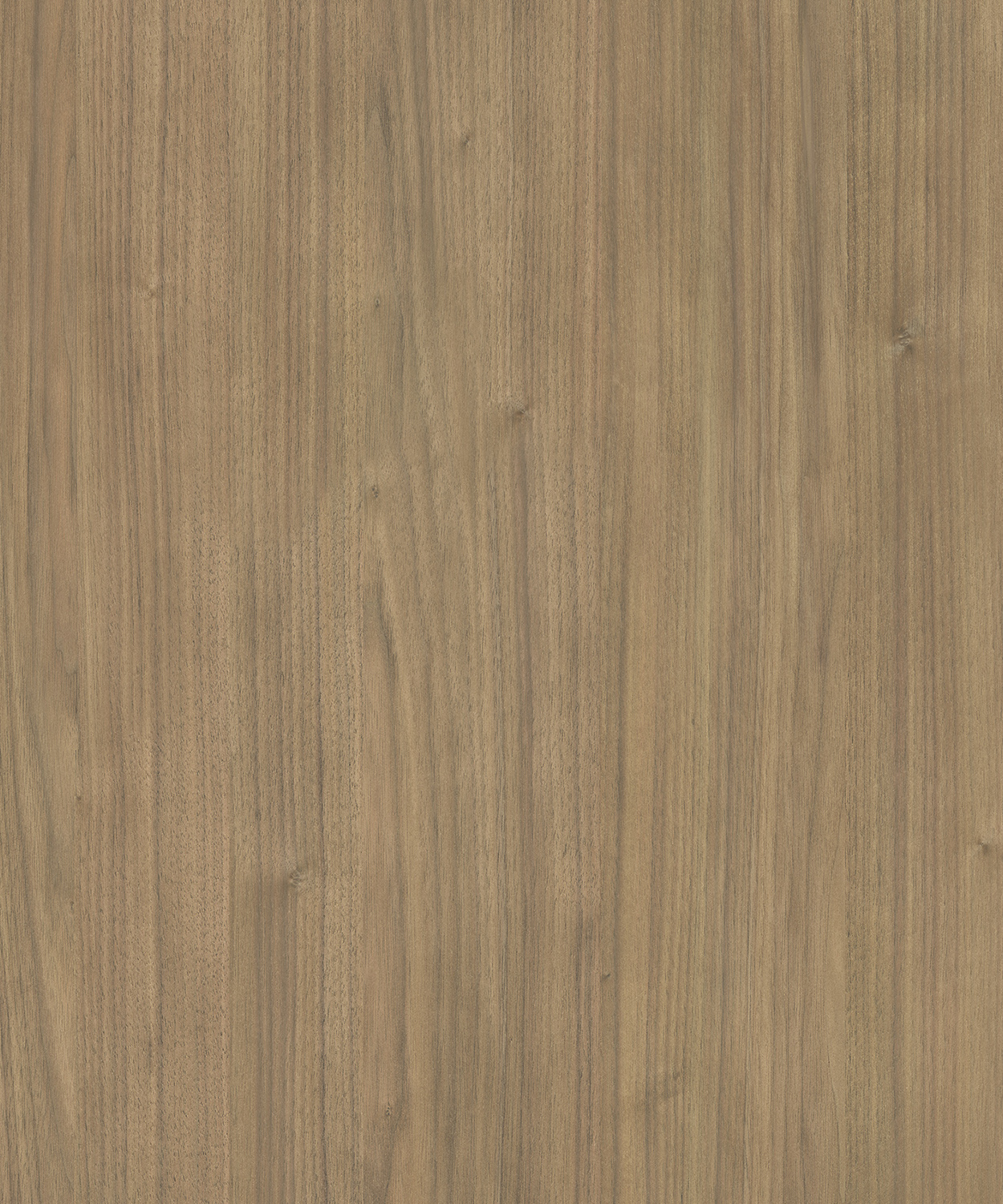 AP77011_JUPITER_WALNUT_CC